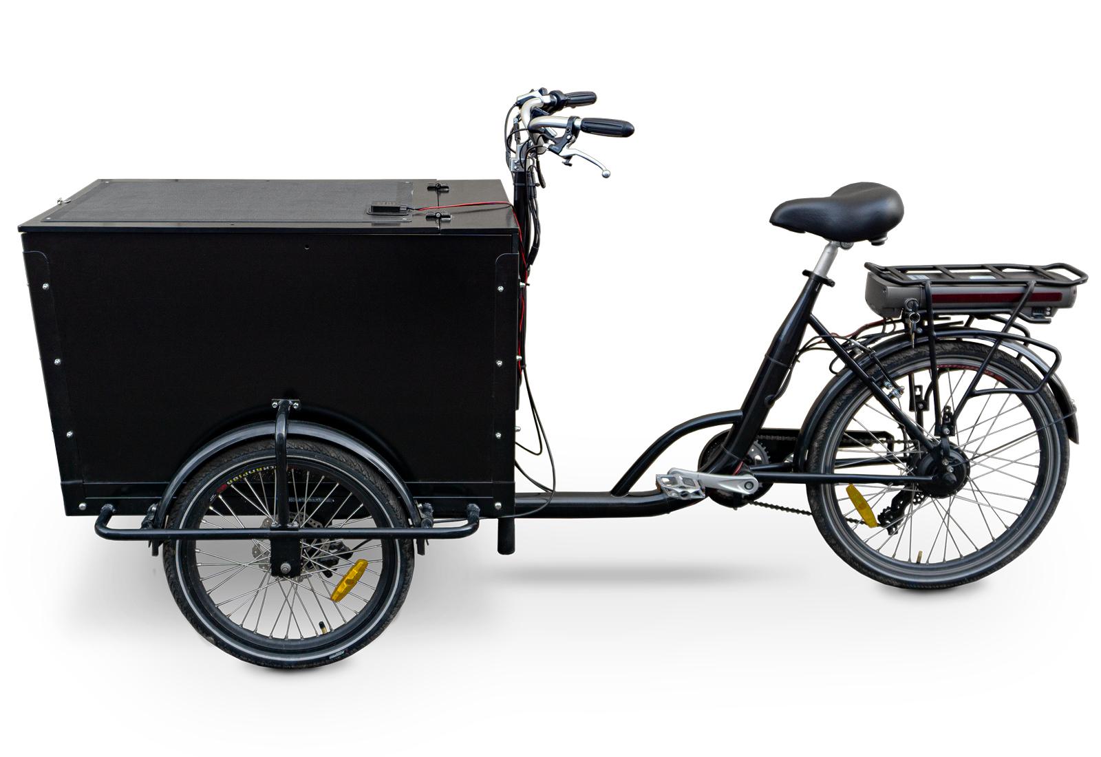 29415 221474 Elektrisches Lastenfahrrad Seitenansicht