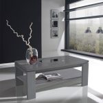 Table basse relevable cendre – DELYA – Taille : L 100 x l 50 x H 44/59 – Couleur marketing : Gris