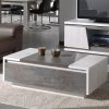 Table basse contemporaine couleur chêne blanc et gris DALIE