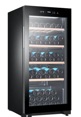 HAIER Cave À Vin De Vieillissement 105 Bouteilles – Ws105ga
