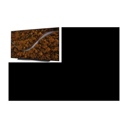 TV OLED LG OLED65CX